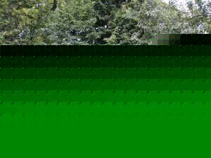 Agroturystyka_Suszczy_Borek_Chata