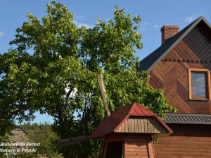 Agroturystyka_U_Romaników_Werstok_Motyw